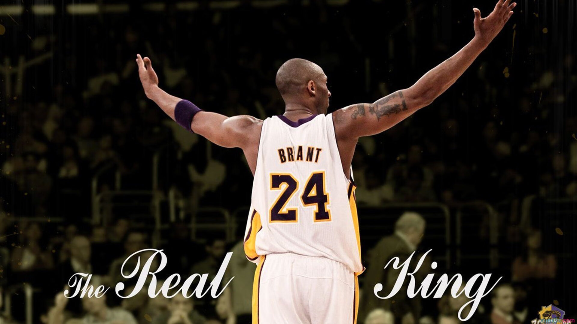 字母哥成为胜负手，深圳队狂胜广东队，当希腊怪兽降临CBA